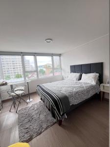 Descanso soleado centro de Conce