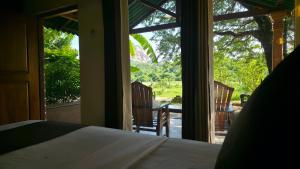 Sigiri Close-up View Guest