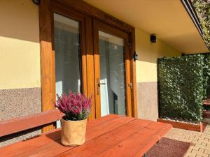 Apartament, Studio, Pokój NAD POTOKIEM