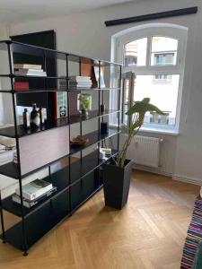 Charming Apartment in the Middle of Berlin!