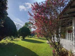 Aura Hilltop Holiday Homestay