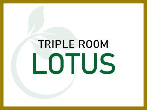 Aura Hilltop Holiday Homestay