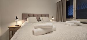 Central Lux Apartment