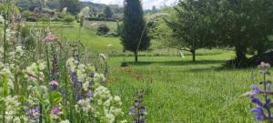 Ecrin De Verdure Sarlat