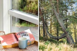 2502-Nexo-Gubbegardsvejen-31