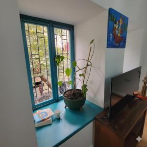 TBILI BED Apartments, Tours and Airport Pickup