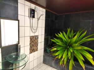 Agua Luna by the beach