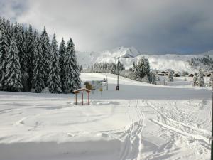 Appartement 2 pièces au cœur du village, proche pistes, 6 pers - FR-1-815-20