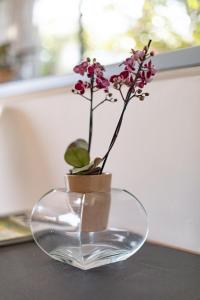 Ballito Treetops on Ashley