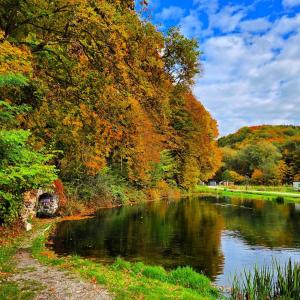 "Rózin Pstrągarnia" domki całoroczne Jura Krakowsko-Częstochowska