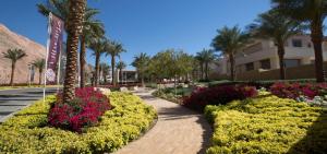 Al RAHA village - Aqaba أستوديو بقرية الراحه العقبة مرسى زايد