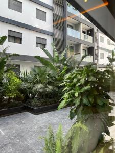 Luxury apartment in Tangier