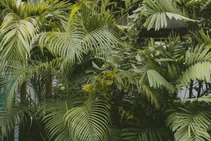 Oasis Colonial Cartagena