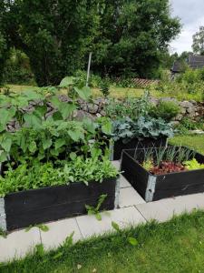 Gamla Hjälmarvägen 10