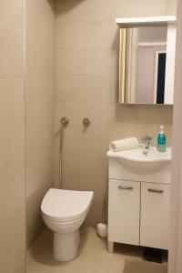 Apartman Beograd Banovo Brdo - lux dvosoban stan