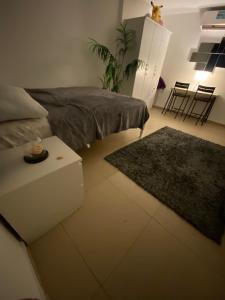 Simple studio in Abu Dhabi