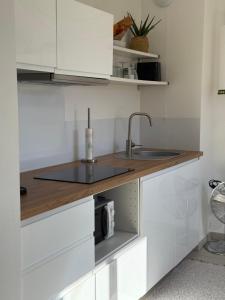 Studio quartier des fleurs