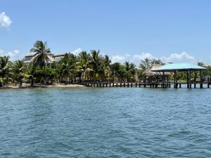 Casa Corazón - Spacious 6 Bedroom Beachfront Villa with Pool & Pier