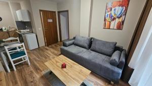 Minkov Apartments, Пампорово - Замъка 2