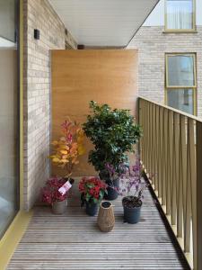 New 2bd Willesden Oxford St, Wembley, Jubilee line