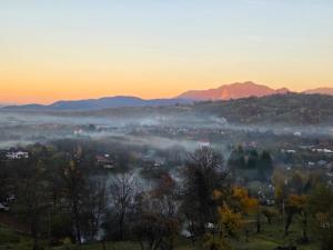 Panoramic View Bran - Apartament