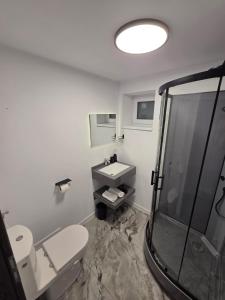 Panoramic View Bran - Apartament