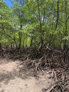Almaré Hospedagem - Boipeba