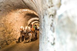 Villa Residence Franziskus