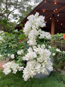 Sunshine Resort Sigiriya