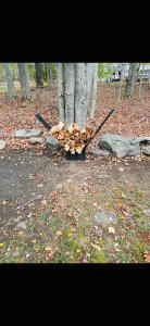 Home in Arrowhead Lake Pocono PA - Lake Access, Hot Tub, Fire Pit, and Amenities Included