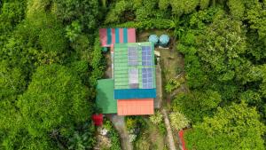 Utopia Bluff Beach Off Grid Jungle Retreat By The Sea