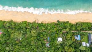 Utopia Bluff Beach Off Grid Jungle Retreat By The Sea