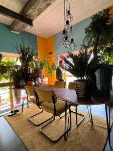 Plantkot, a cozy apartment full of plants of tinykot