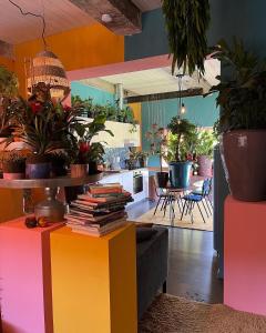 Plantkot, a cozy apartment full of plants of tinykot