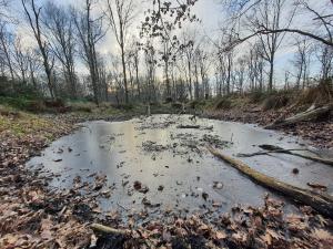 Seaside Gem with Views - By Traum Ferienwohnungen