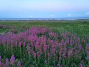 12 person holiday home in Idestrup-By Traum