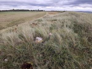 Seaside Retreat in Lolland - By Traum Ferienwohnungen