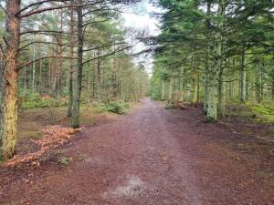 8 person holiday home in Ålbæk-By Traum