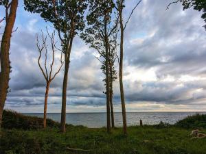 6 person holiday home in Karrebæksminde-By Traum