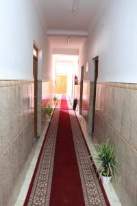 Youth hostel ouargla بيت الشباب 22 فبراير ورقلة