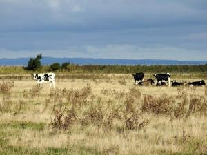 4 person holiday home in Bogense-By Traum