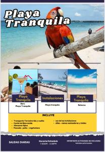 Calidad vs precio, wifi, cerca centro historico 3-2