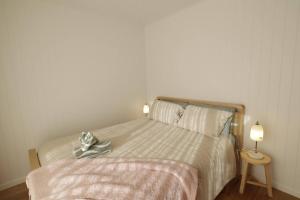 Off-Grid Farm Stay with Scenic Views