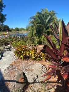 Florida condo close to Warm Mineral Springs