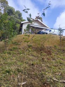 Estrela da Montanha 2