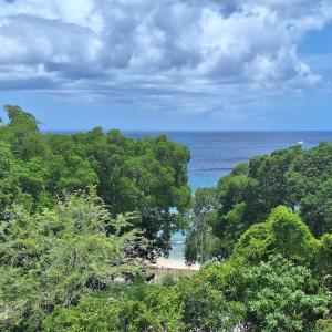 105 Batts Rock Beach Condos near UWI