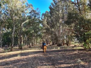 La Colorada, Balneario Marisol - campo, bosque, río y mar