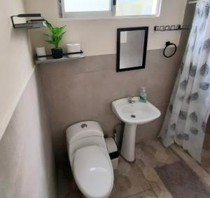 The garden oasis close to SJO airport