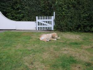 at Landal Port Greve