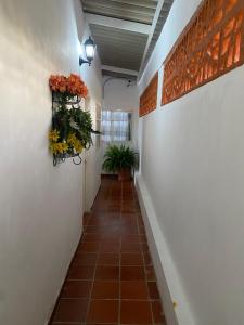 La Casa de Luzma